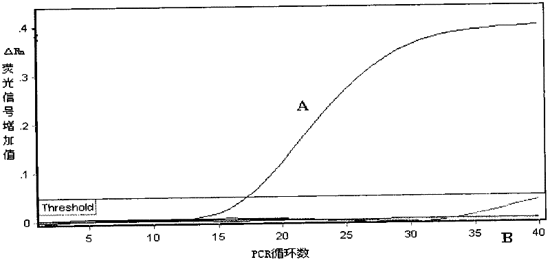 Kit for aided identification of Plum Pox virus and application thereof