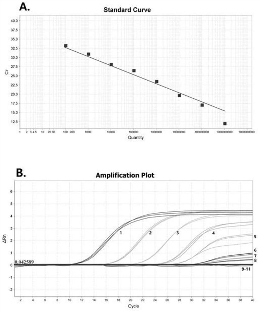 Composition for detecting BVDV1 type in bovine semen, kit and application