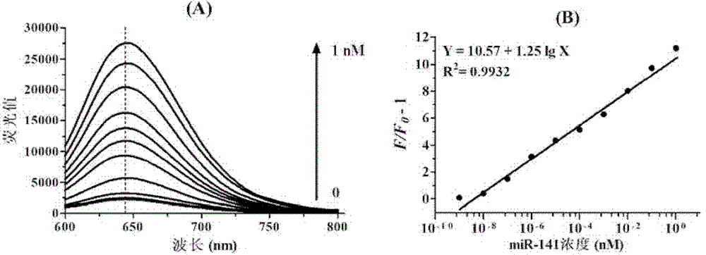 MicroRNA quantitative detection analytic method by utilizing isothermal amplification to synthesize fluorescent nano silver cluster probe