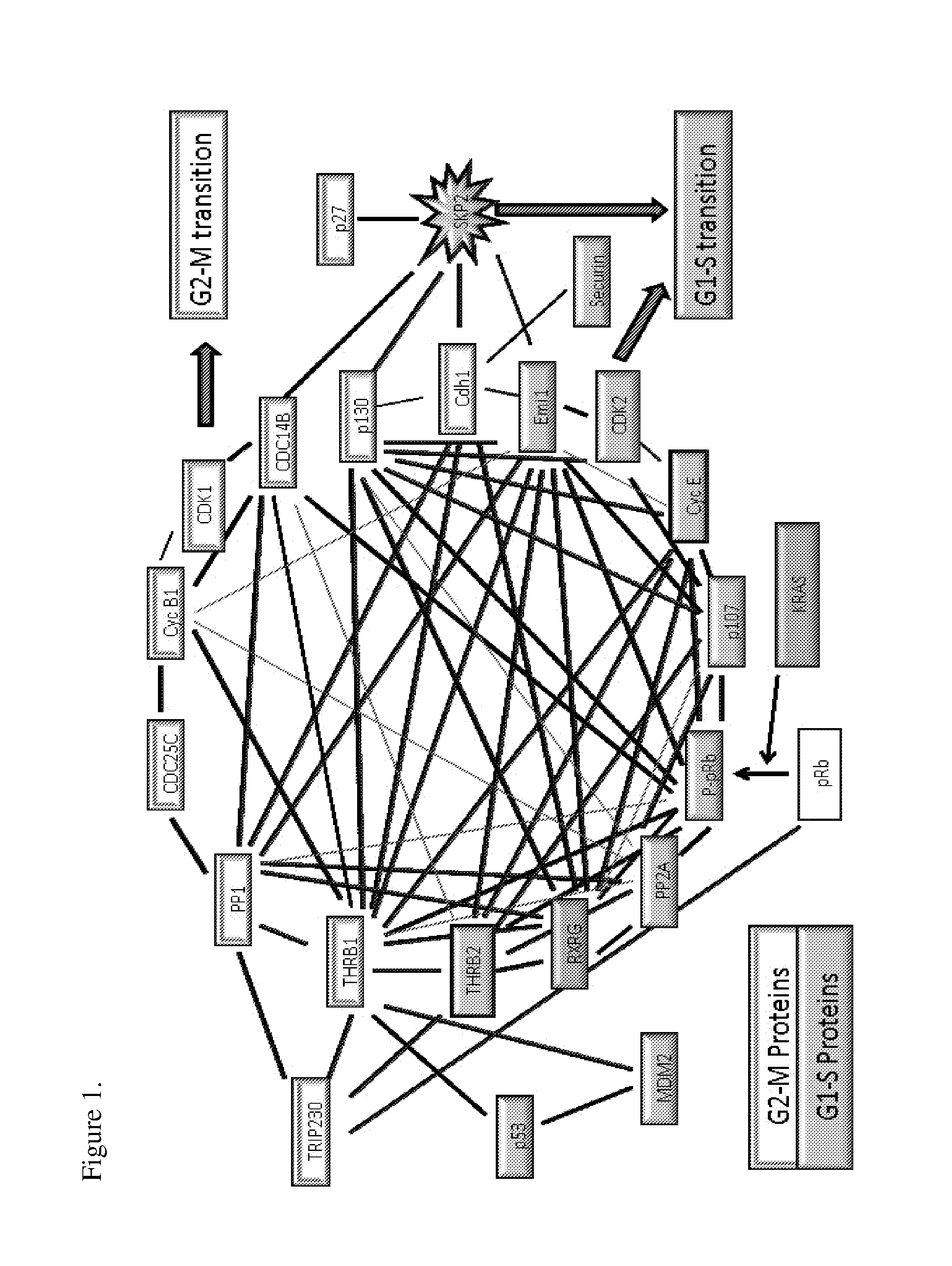 Rxrg modulators for the treatment of cancer