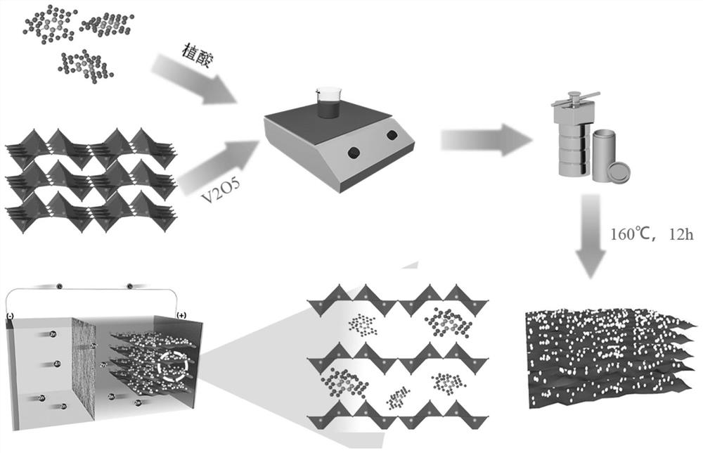 Phytic acid-vanadium pentoxide composite material, preparation method thereof, electrode and battery