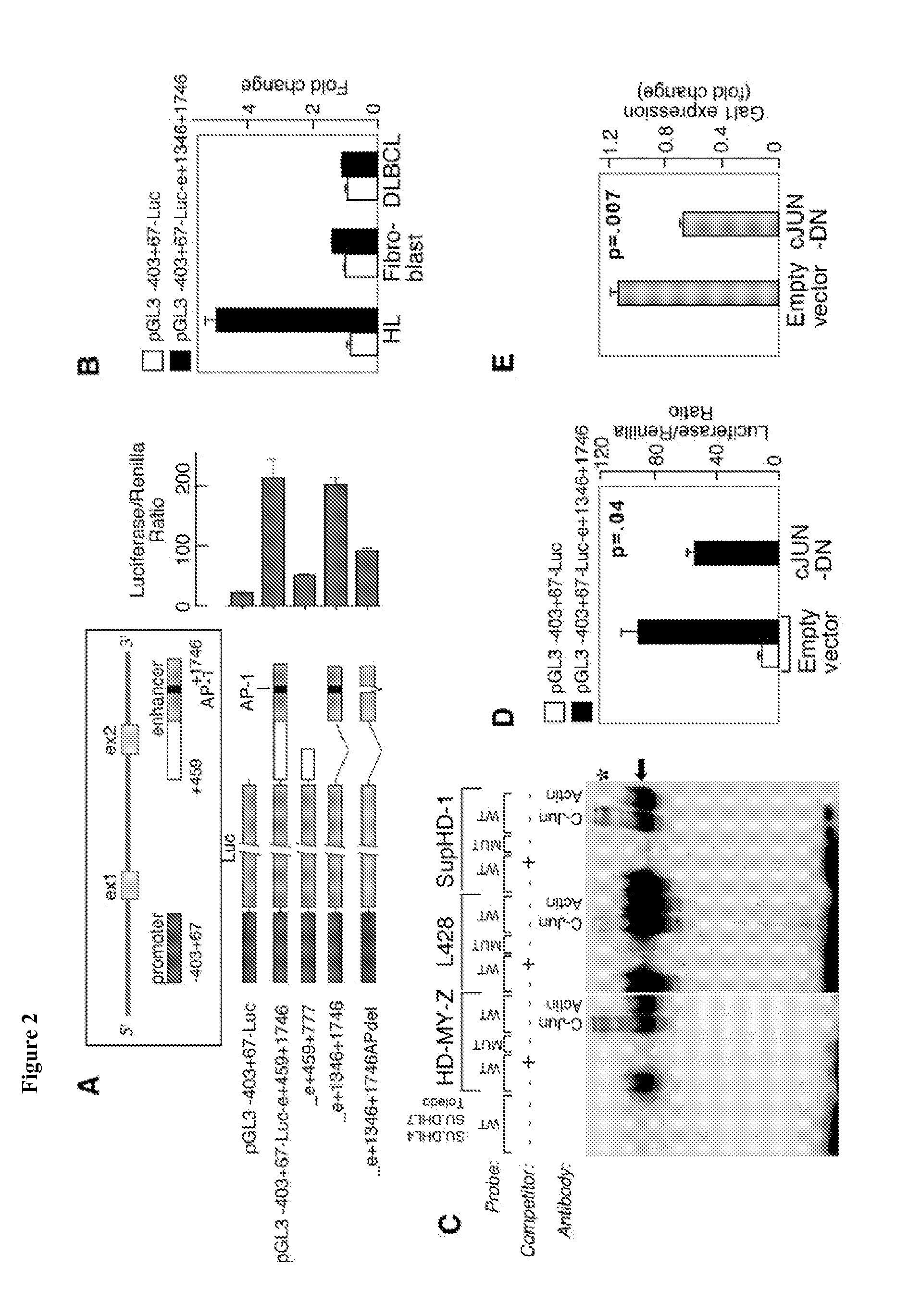 Compositions, Kits, and Methods for the Diagnosis, Prognosis, and Monitoring of Immune Disorders Using Galectin-1
