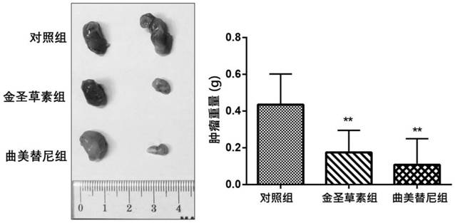 Novel application of parthenolide, luteolin, chrysoeriol and ginsenoside Rg3