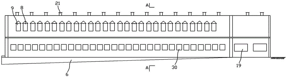 Legehenne smooth farm and legehenne breeding method