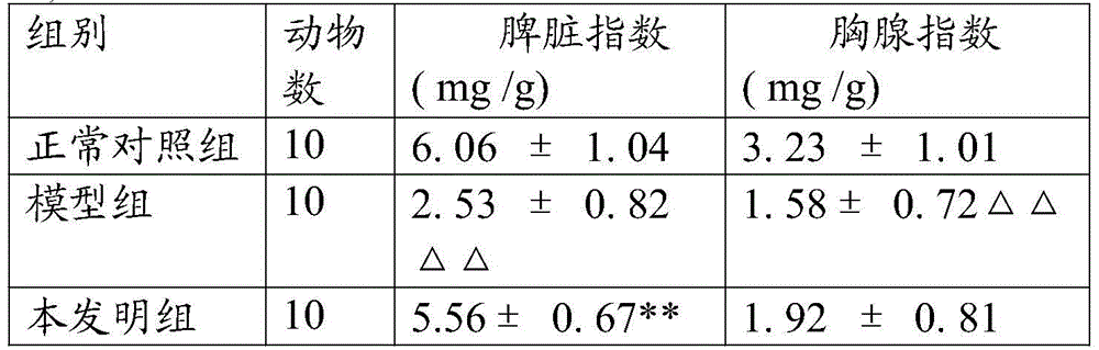Cuscuta oral liquid for improving immunity and preparation method thereof