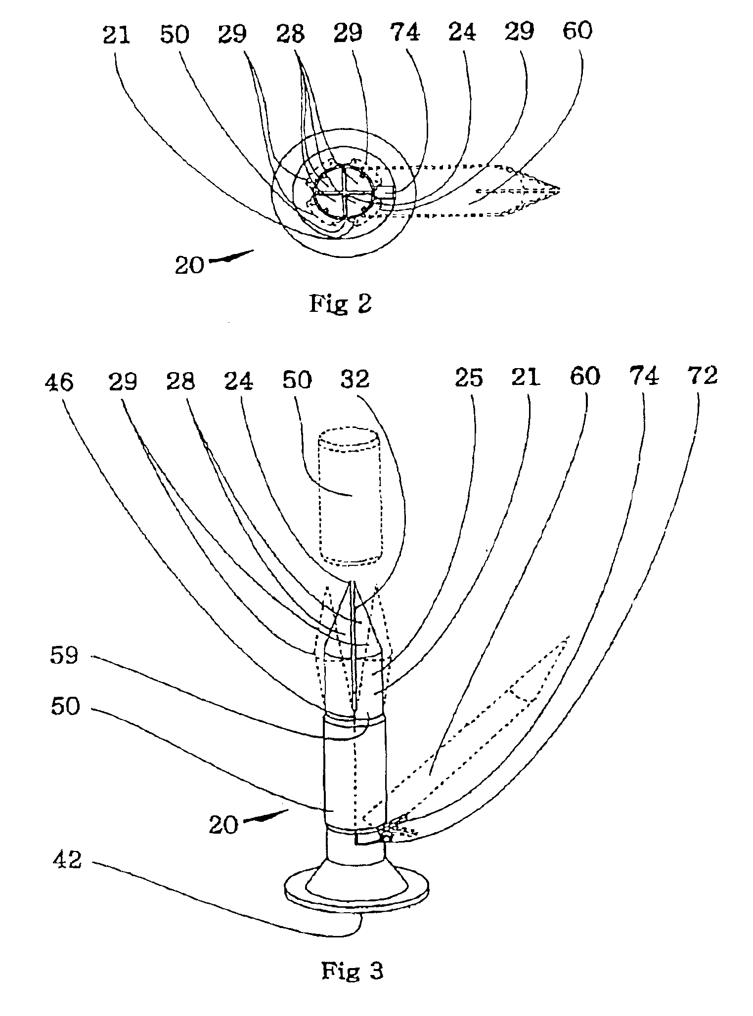 Food injection device
