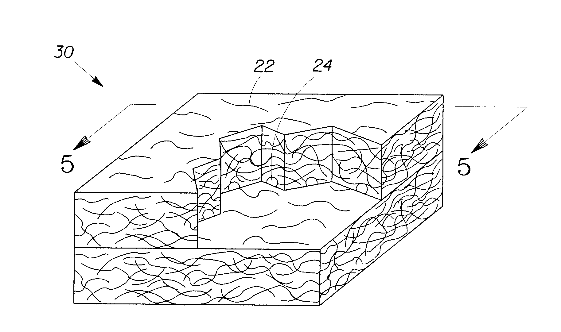 Hydroxyl Polymer Fiber Fibrous Structures and Processes for Making Same