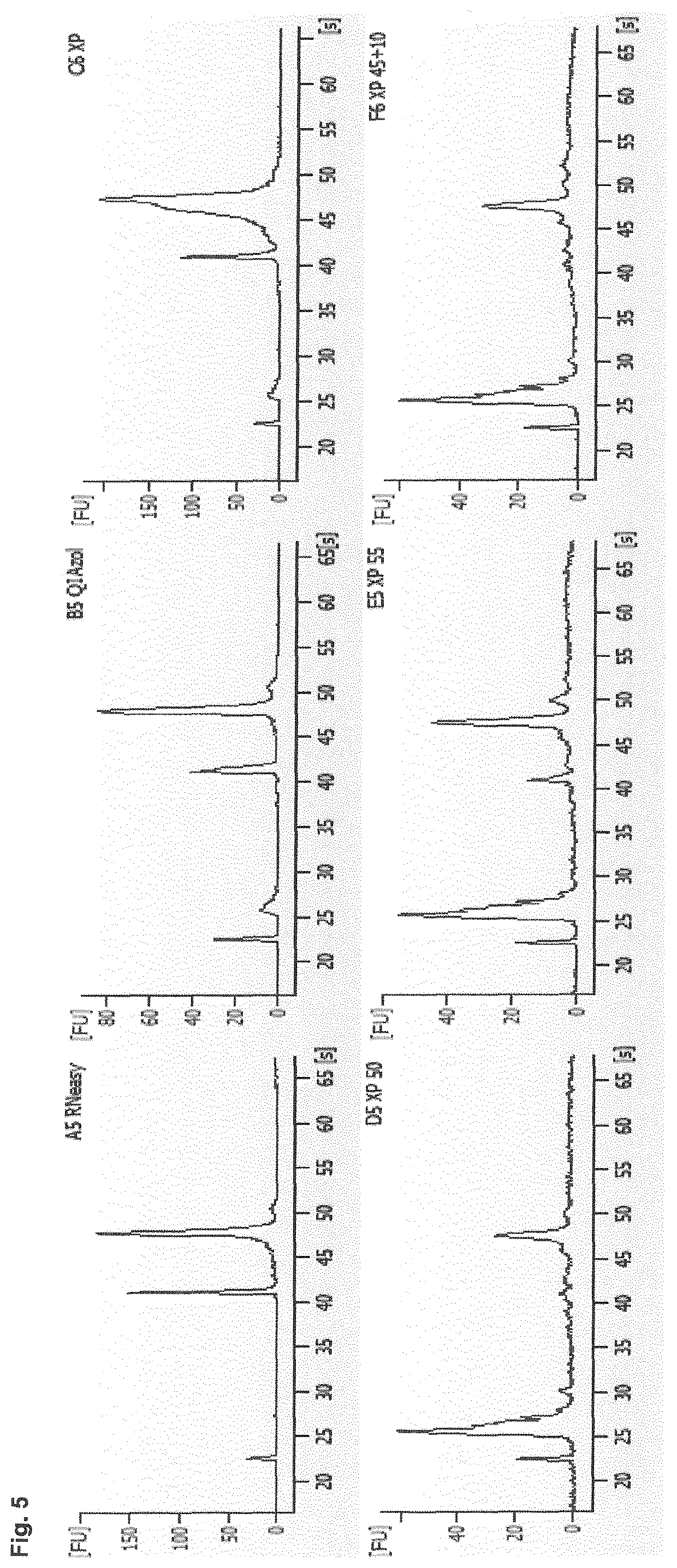 Method for isolating RNA with high yield