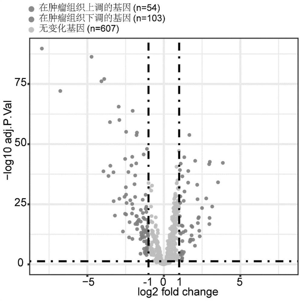 Lung adenocarcinoma patient lifetime prognosis evaluation method, computer device and storage medium