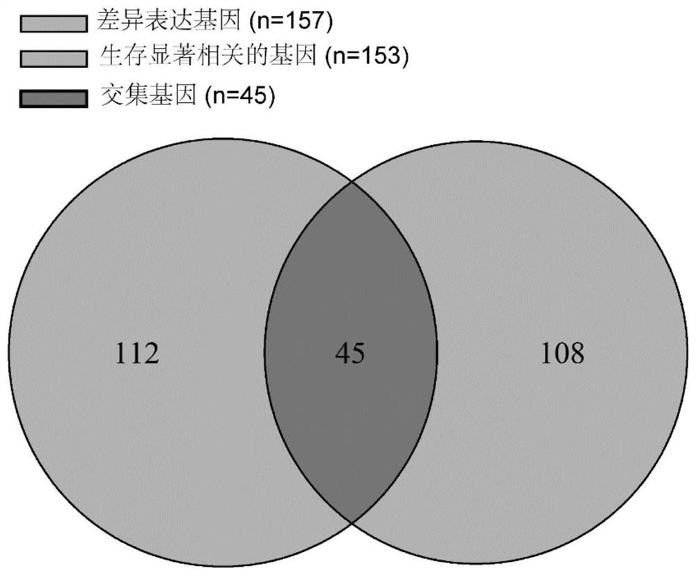 Lung adenocarcinoma patient lifetime prognosis evaluation method, computer device and storage medium