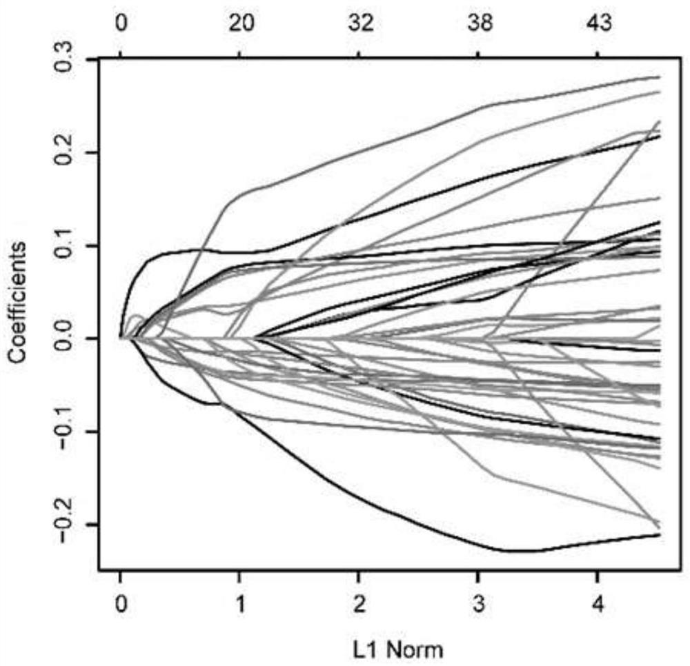 Lung adenocarcinoma patient lifetime prognosis evaluation method, computer device and storage medium