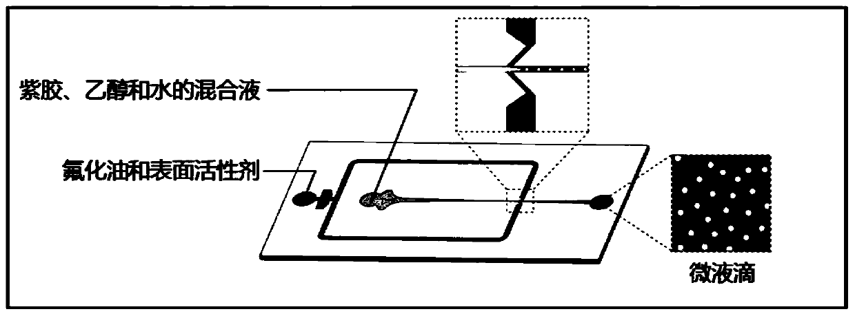 Biocompatible water core microcapsule and preparation method thereof