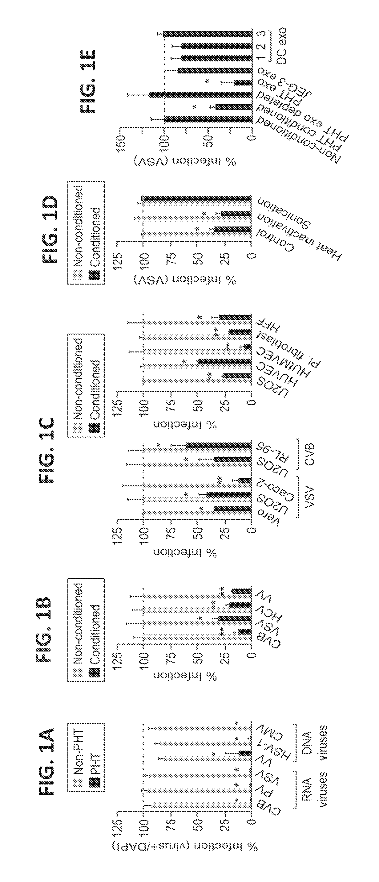 Use of the chromosome 19 microRNA cluster (C19MC) for treating viral disease and promoting authophagy