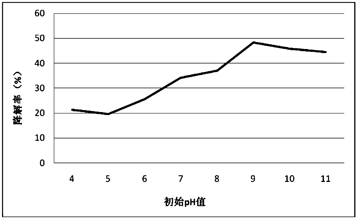 Stenotrophomonas maltophilia producing keratinase and its application