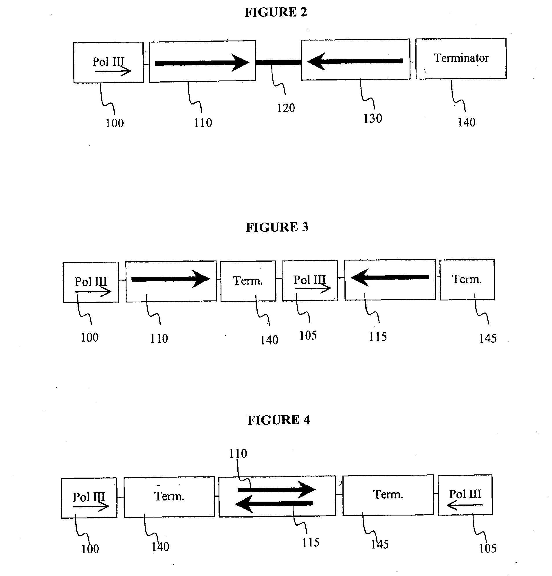 Method for expression of small antiviral RNA molecules with reduced cytotoxicity within a cell