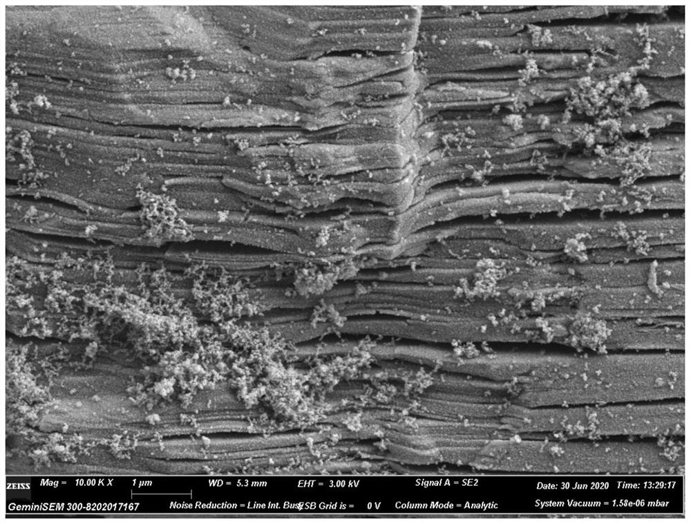 A kind of ramie fiber-based biochar and its preparation method and application