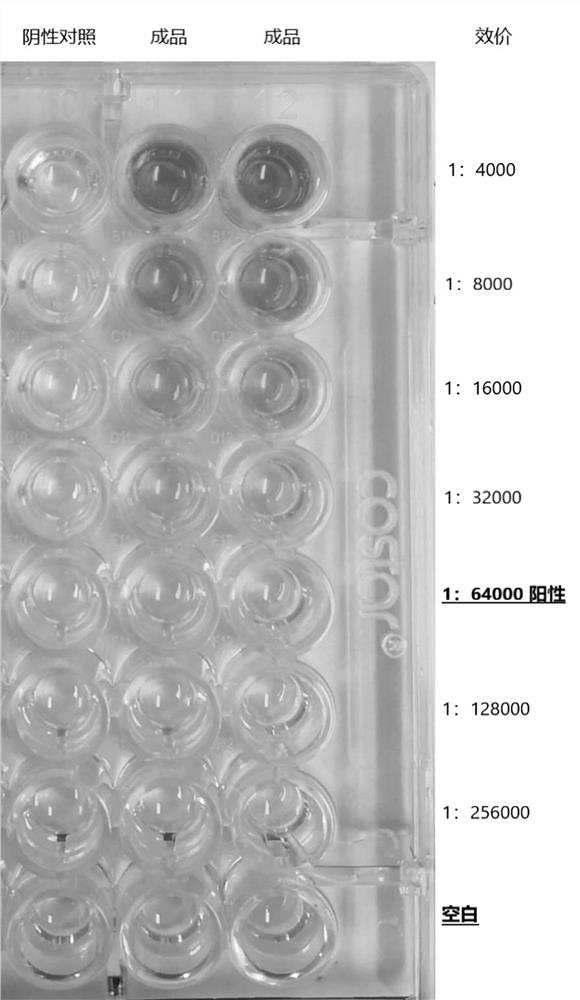 A kind of anti-new coronavirus antibody and its preparation method and application