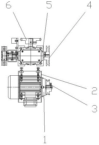 Sock shaping and fixing apparatus