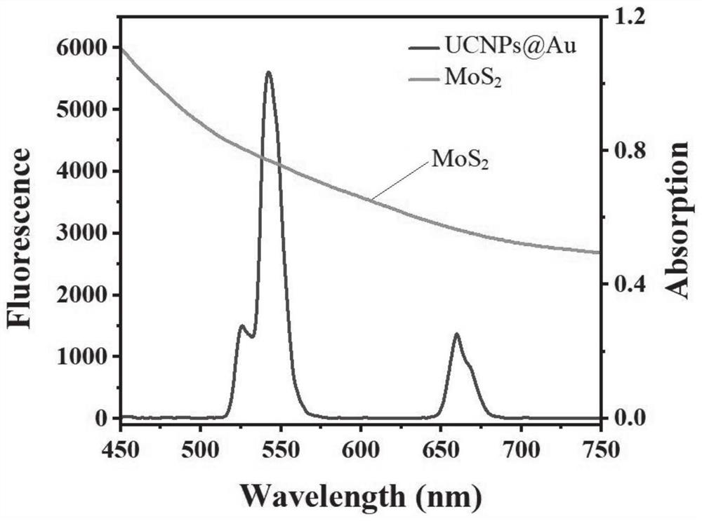 Method for detecting various environmental estrogens and application thereof