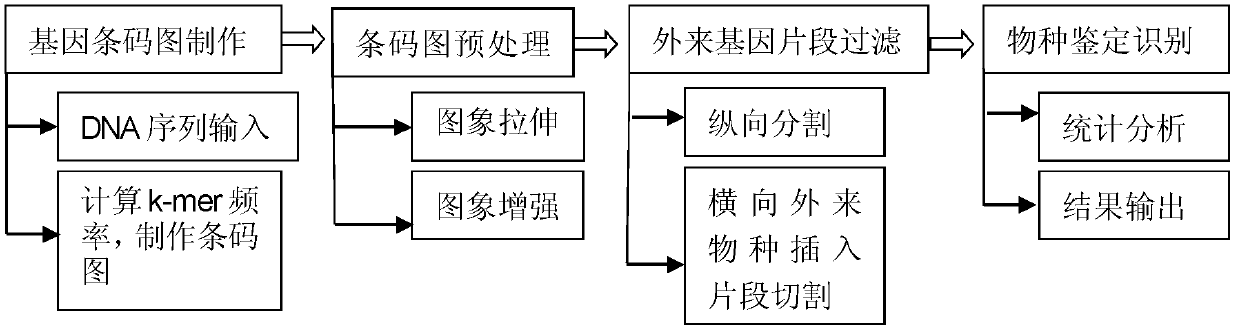 Biological species identification method based on genetic barcode