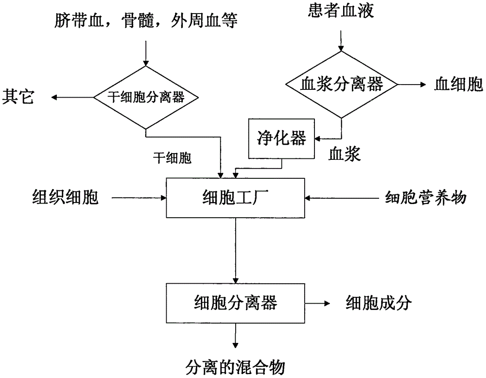 Pharmaceutical composition containing stem cell metabolite and preparation method thereof