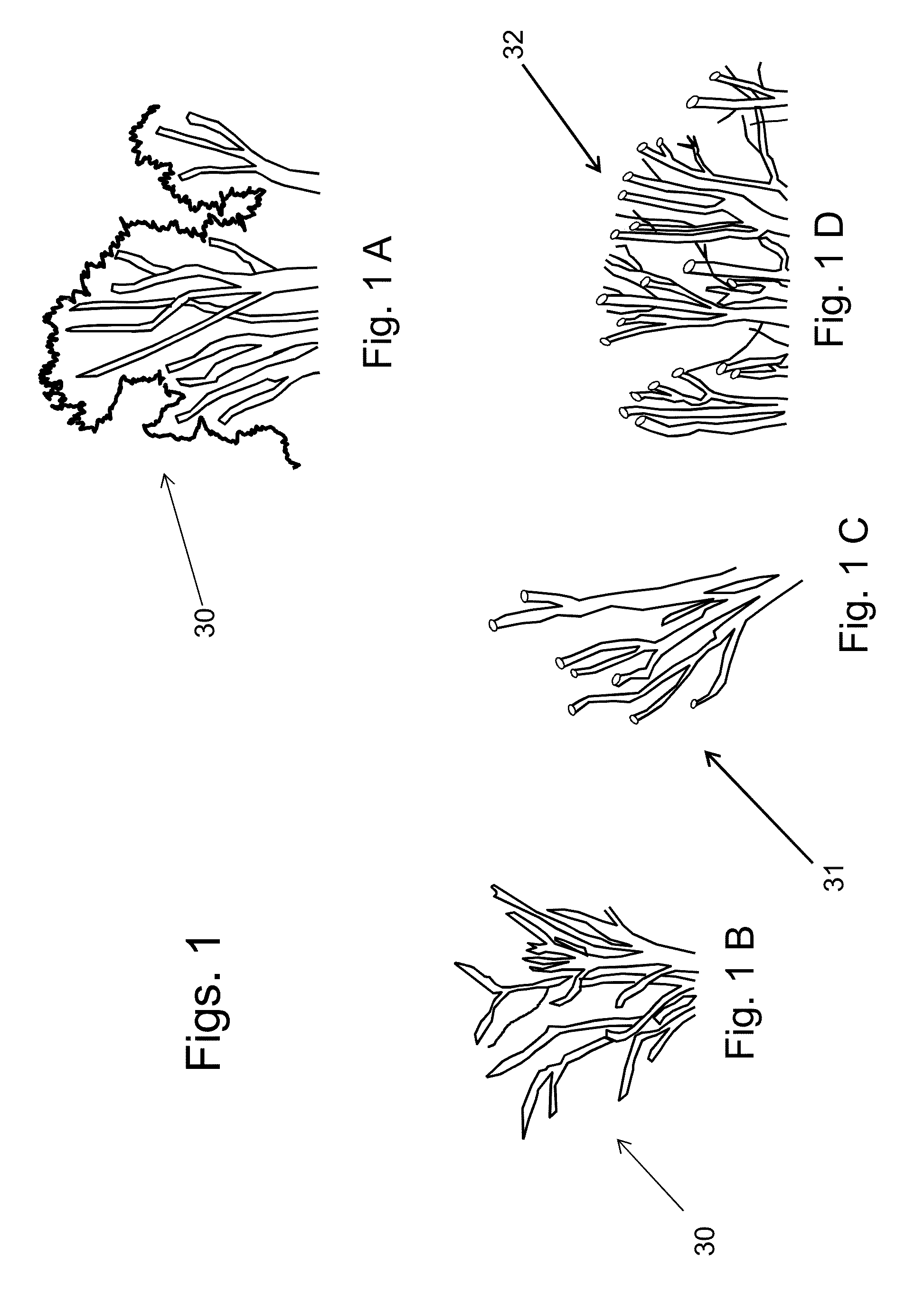 Convex Cutting and Trimming Method to Re-orient New Growth for Shaping Trees