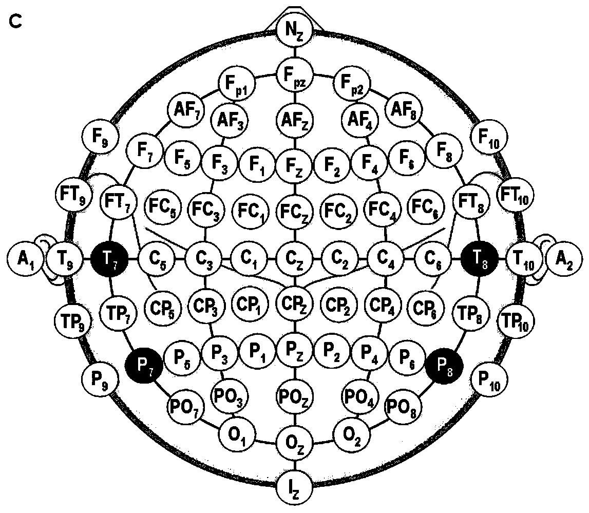 A polymorphic brain-computer interface system