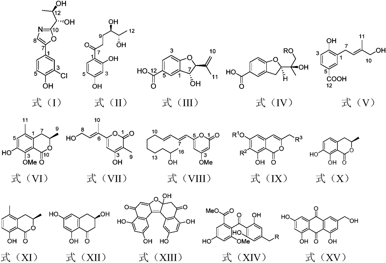 Graphostroma sp. 3A00421 and applications of fermentation compounds of Graphostroma sp. 3A00421