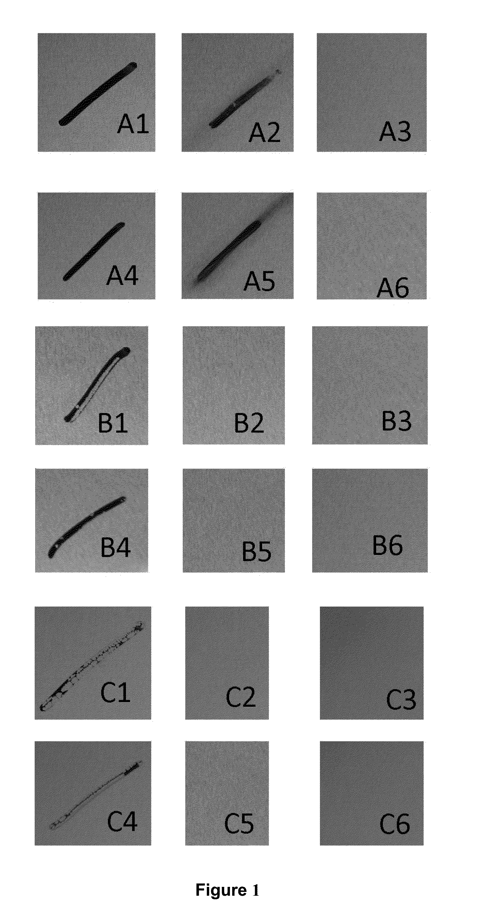 Repellent Coating Composition and Coating, Method for Making and Uses Thereof