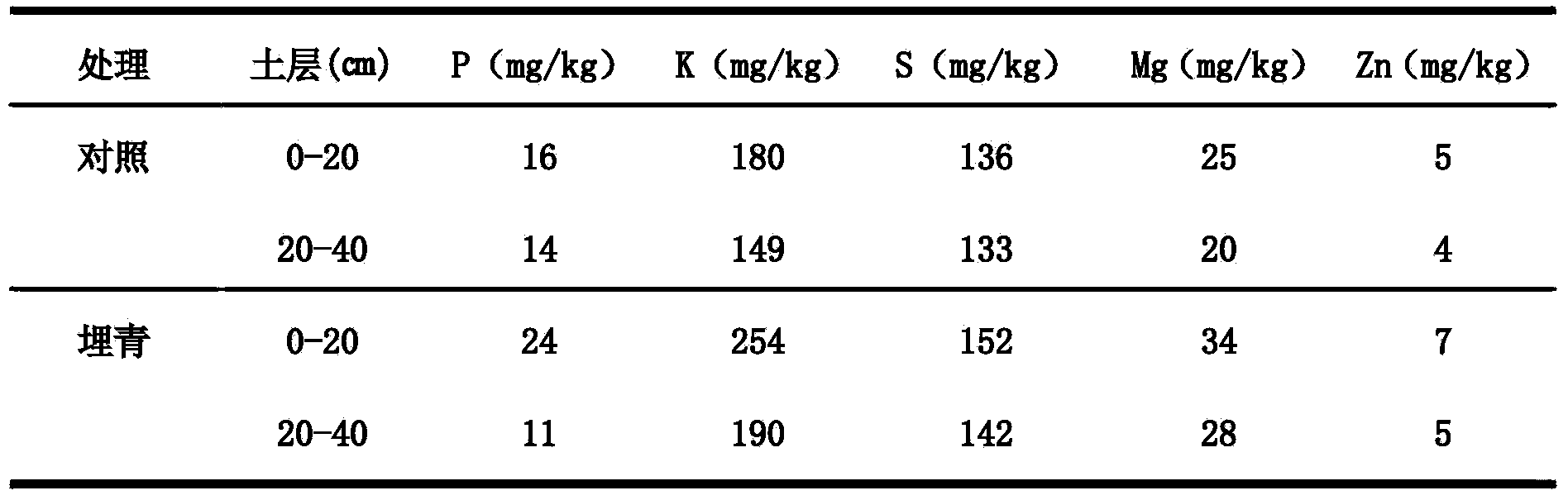 Method for efficiently producing leaves of tea fertilizer No.1