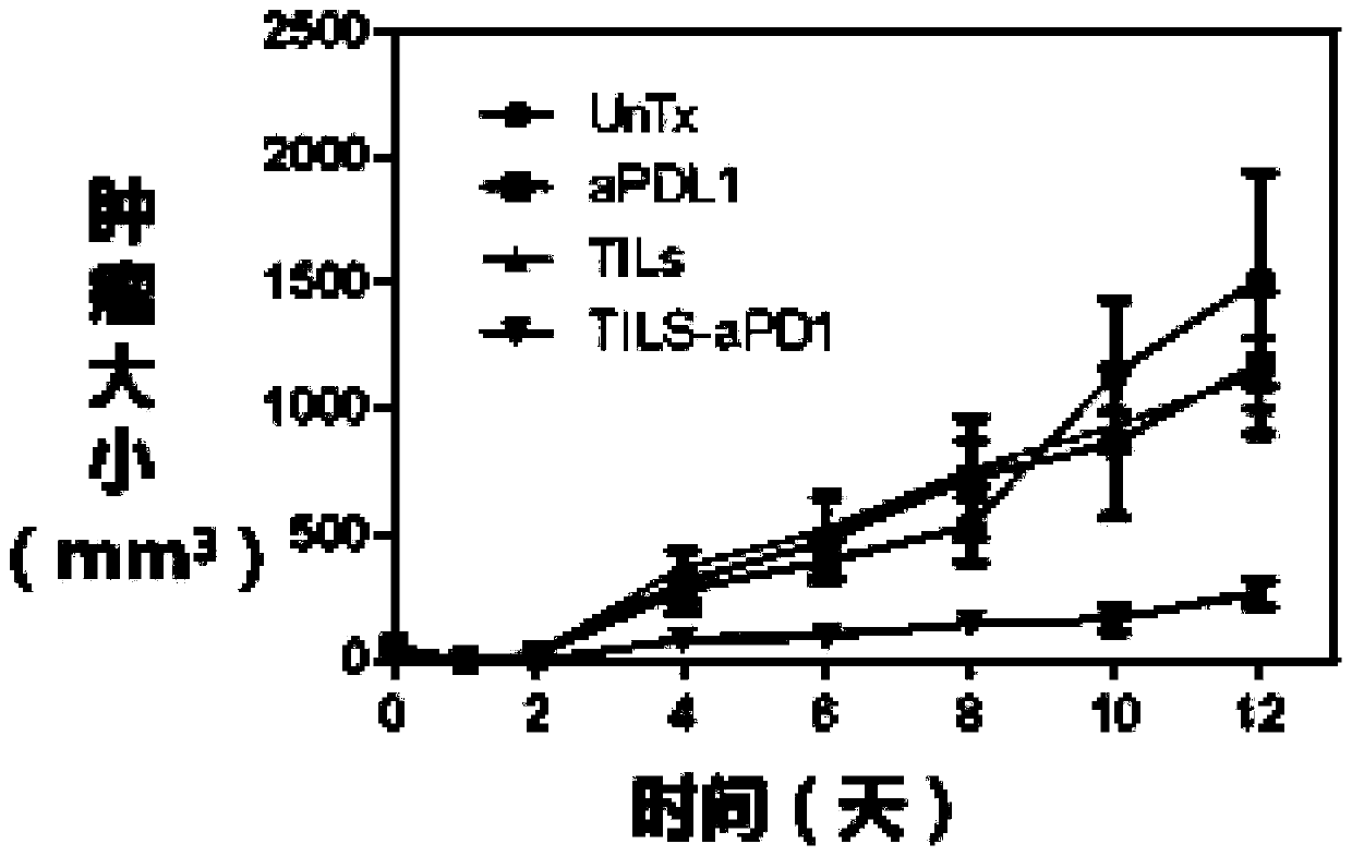 T lymphocytes combined with immune checkpoint blocking agent and application of T lymphocytes in preparing antitumor drugs
