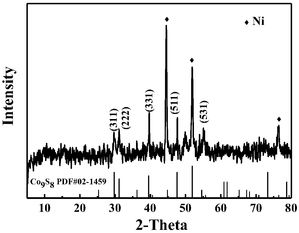 Sea urchin shaped cobalt sulfide catalyst loaded on foam nickle as well as preparation method thereof and application thereof as water electrolysis oxygen evolution catalyst