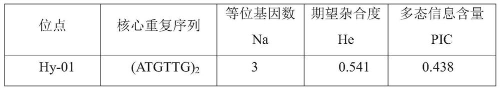 SSR marker site of Hyphessobrycon herbertaxelrodi and universal application of SSR marker site in native and near-source fishes