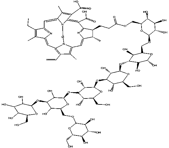 Chlorins e6-metal complex-lentinan ester and preparation method thereof