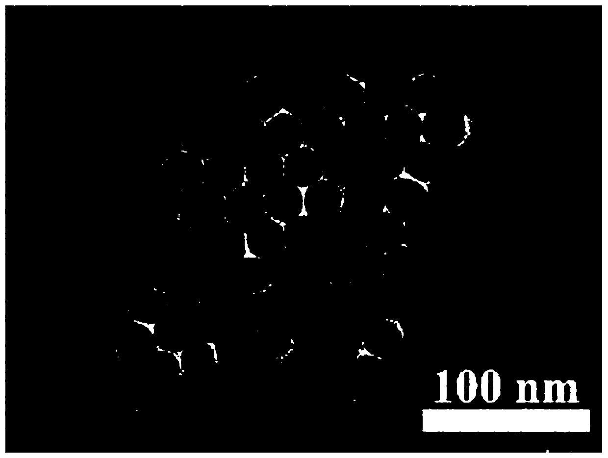 Nitrosonium tetrafluoroborate modified nanoparticles and preparation method thereof, nanometer probe and preparation method thereof, and sulfur-containing compound detection method