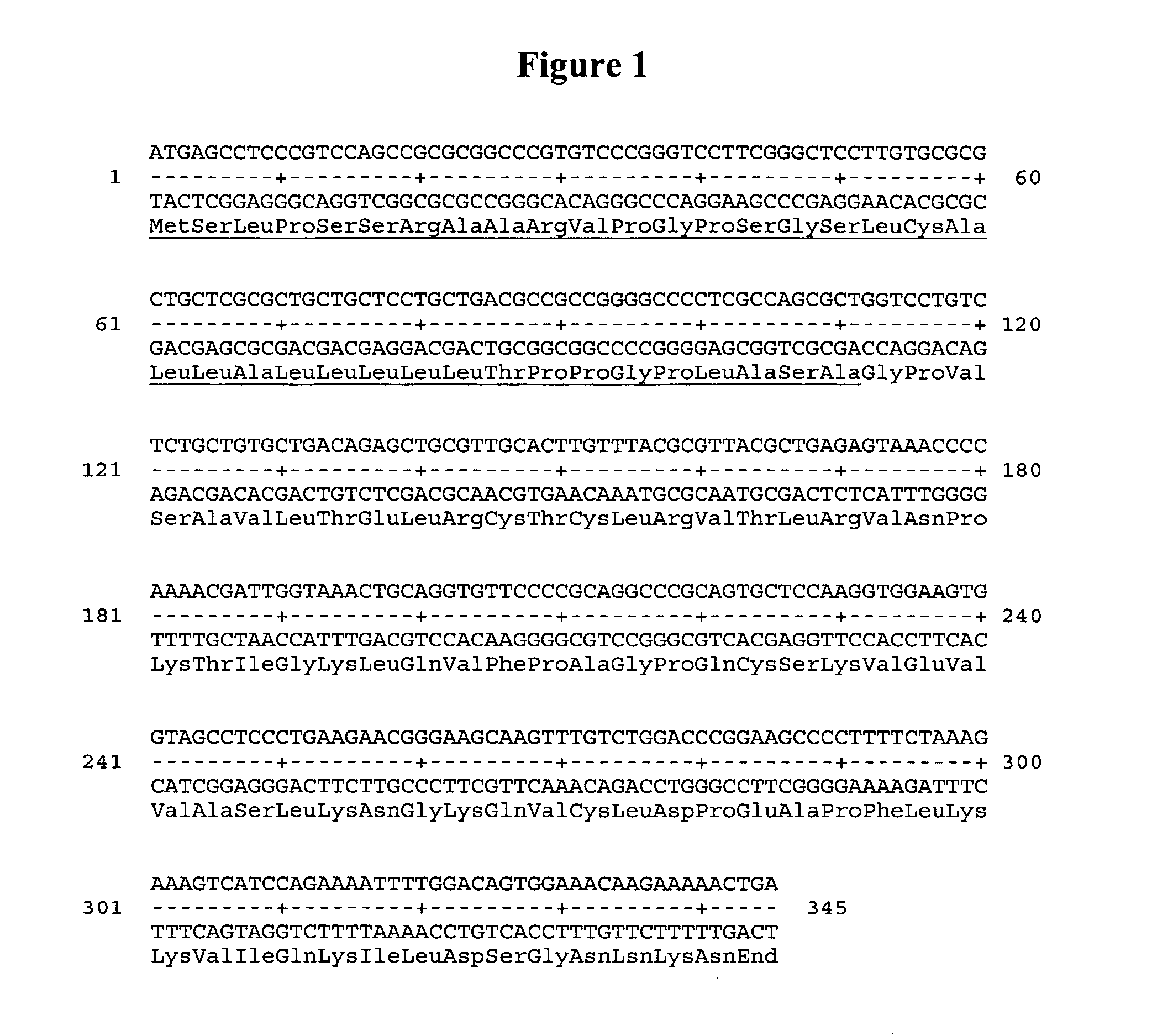 Chemokine alpha 3