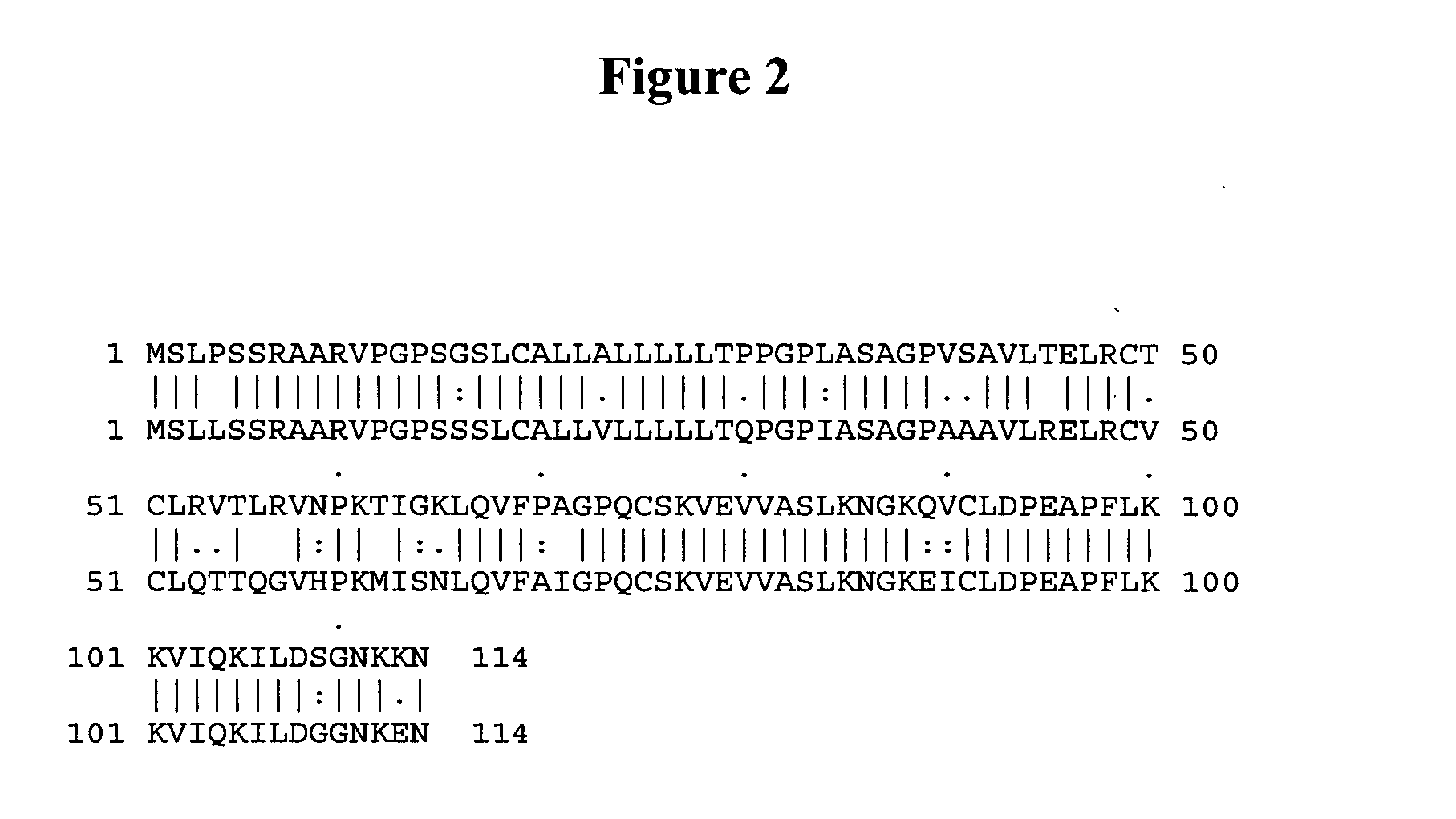 Chemokine alpha 3