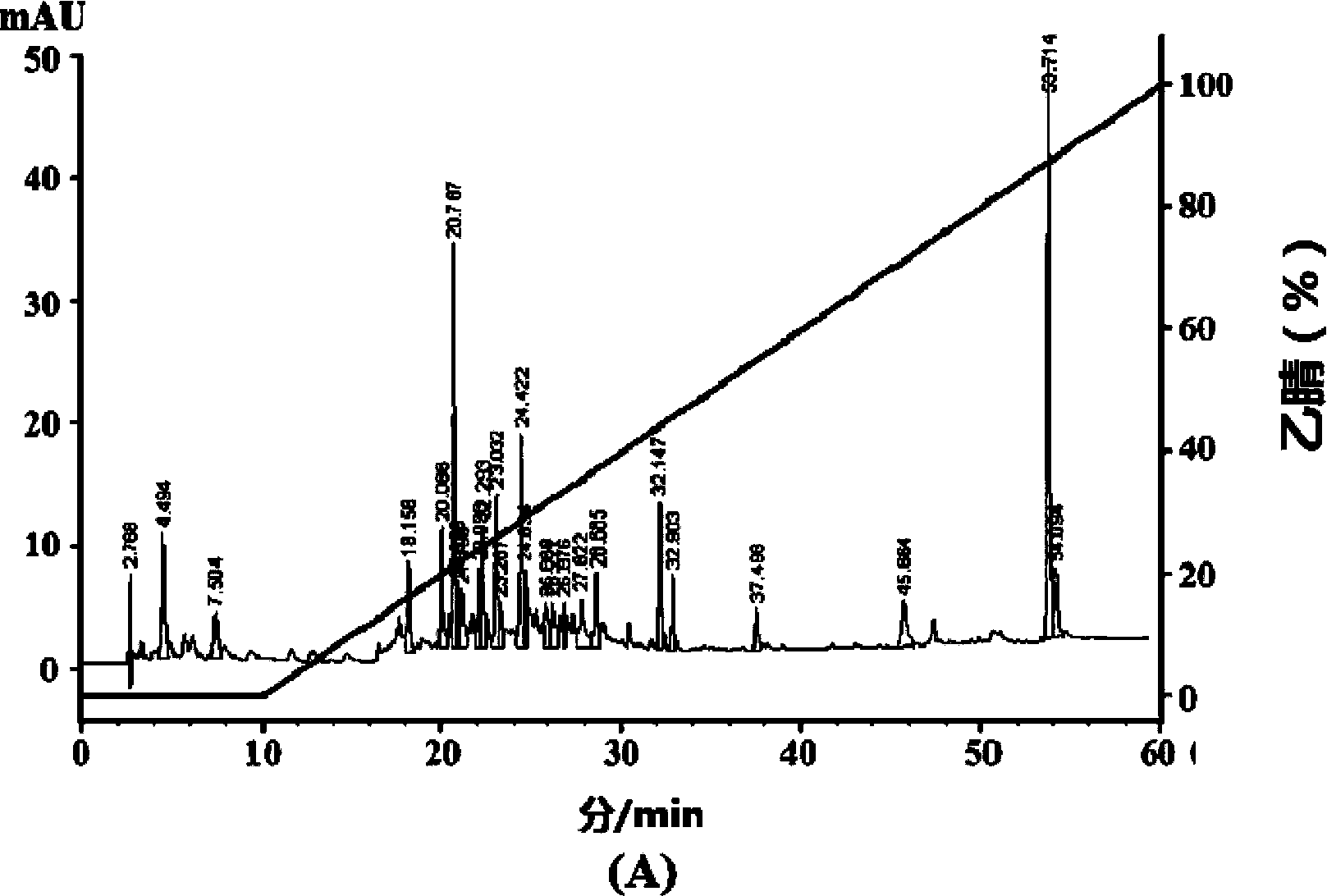 Antioxidant peptide prepared from shark prolamin and preparation method and application thereof