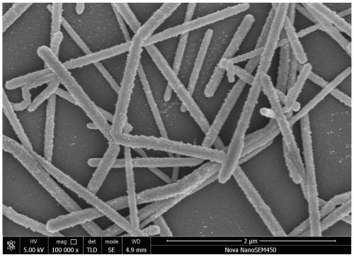 Application of silver nanowire material as MALDI-TOF MS matrix in metabolite detection