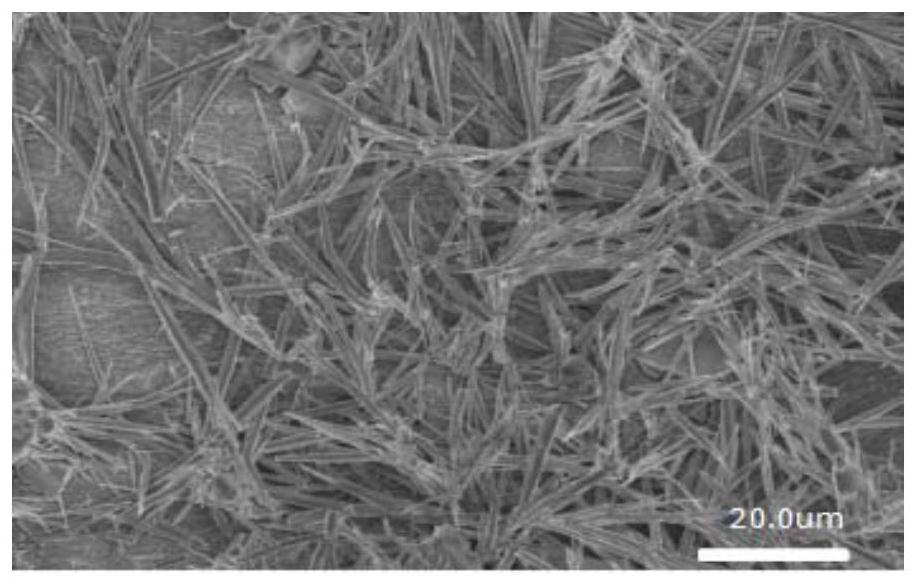 Barium titanate nano array and preparation method thereof