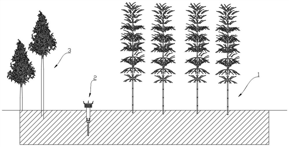 Chemical prevention and control evaluation system and method for moso bamboo expansion