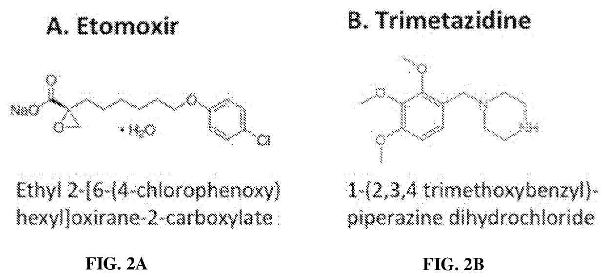 Use of fatty acid oxidation inhibitors as antimicrobials