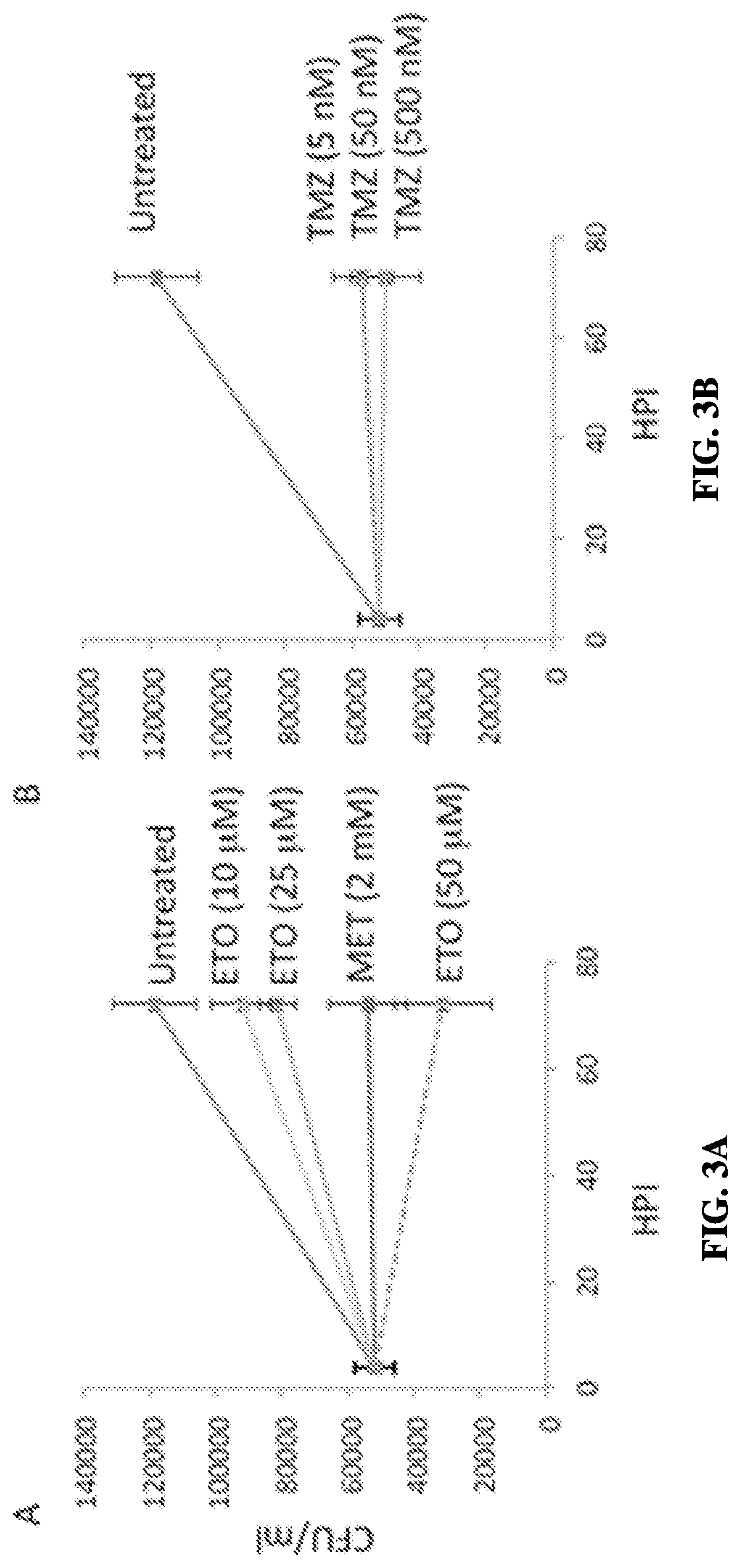 Use of fatty acid oxidation inhibitors as antimicrobials