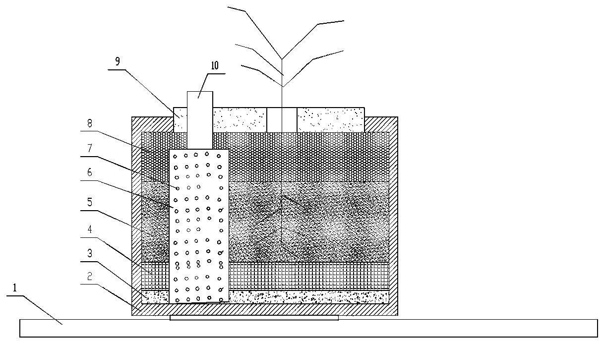 Plant planting device