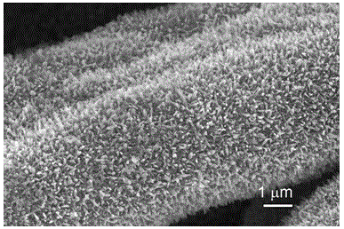 One-dimensional nico on the surface of activated carbon fibers  <sub>2</sub> the s  <sub>4</sub> Crystal array and its preparation method