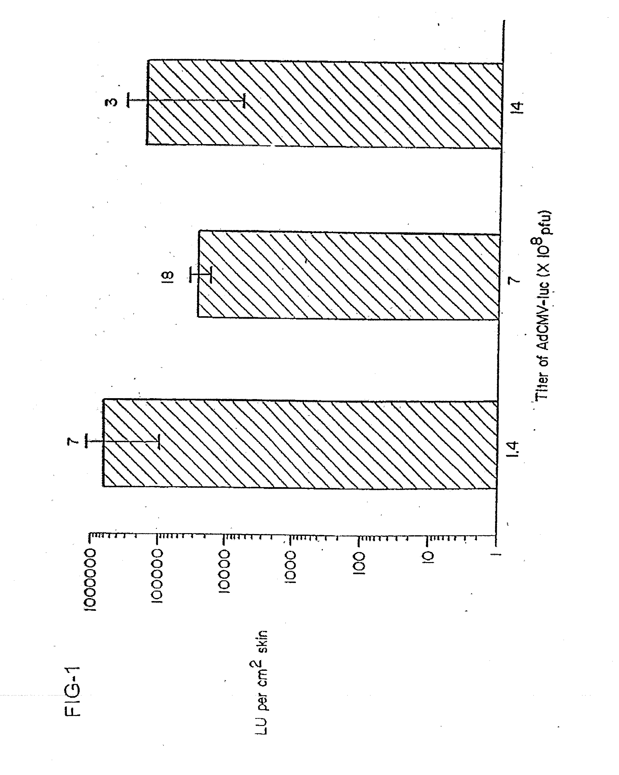 Vaccine and drug delivery by topical application of vectors and vector extracts
