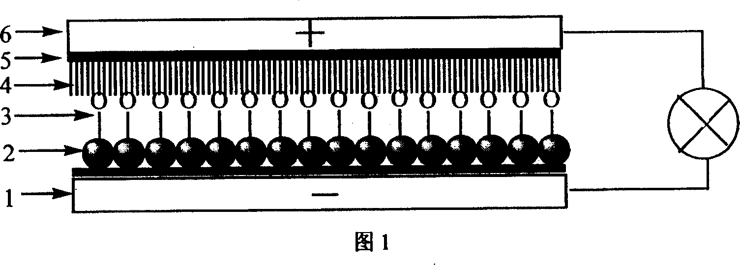 Solar cell adopting organic/inorganic nano doped quasi-solid state electrolyte, and its preparation method