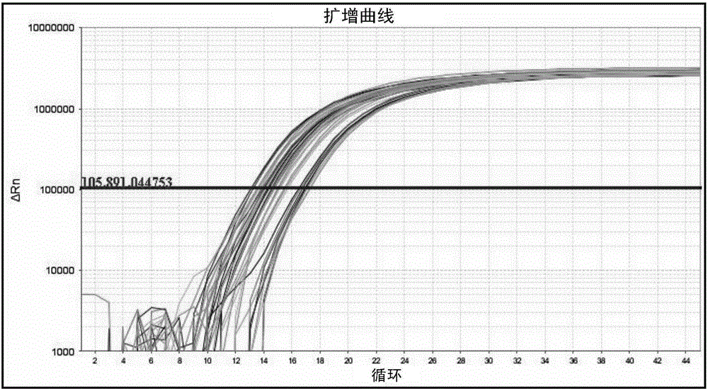 Specific real-time fluorescence detection method and kit for trionychinae biotic components