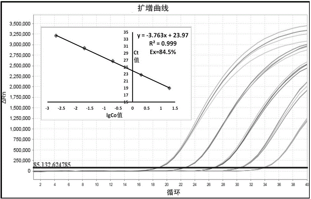 Specific real-time fluorescence detection method and kit for trionychinae biotic components