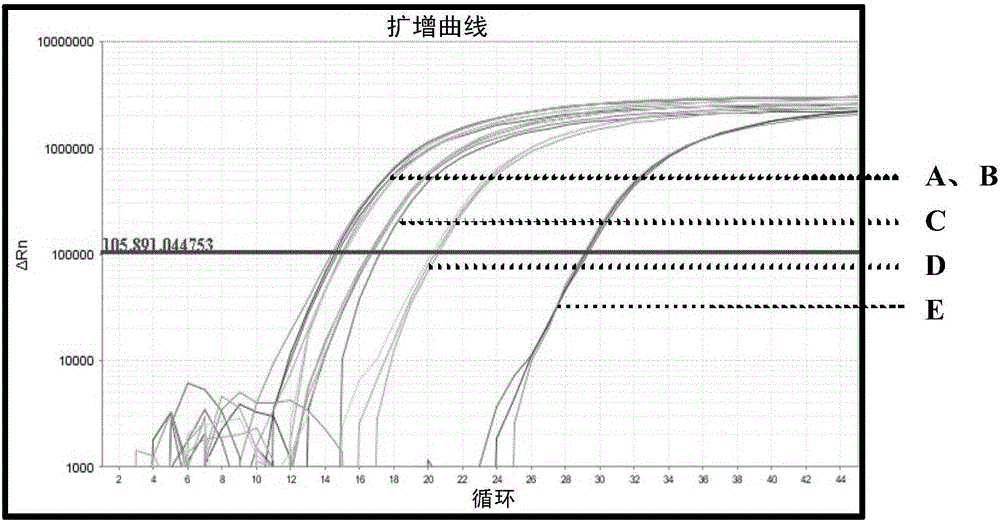 Specific real-time fluorescence detection method and kit for trionychinae biotic components